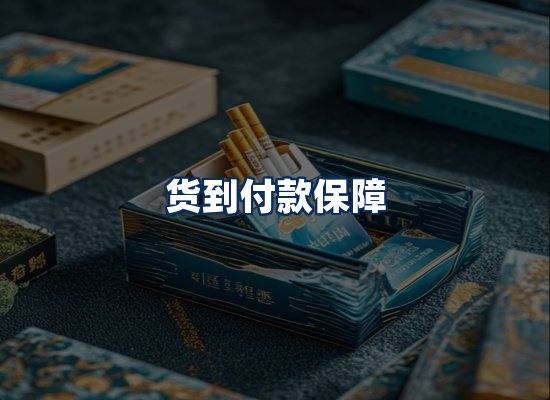 专业团队办公环境
